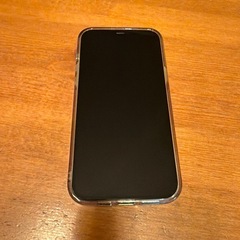 SIMフリー版 iPhone 12 ProMax 512GBの画像