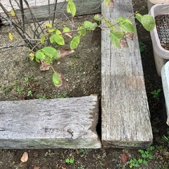 枕木4本の画像