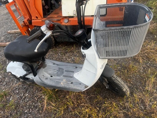 スズキチョイノリ