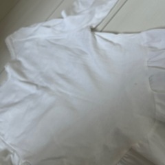 グンセ　未使用　自宅長期保管の画像