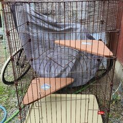 猫の二段ゲージの画像