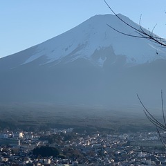 バトミントン、卓球仲間募集