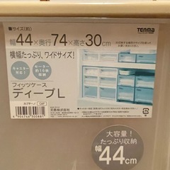 F its フィッツケース　衣装ケース　引出し　2個 幅の画像