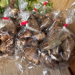 新しい種類の野菜が出てますの画像