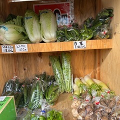 新しい種類の野菜が出てますの画像