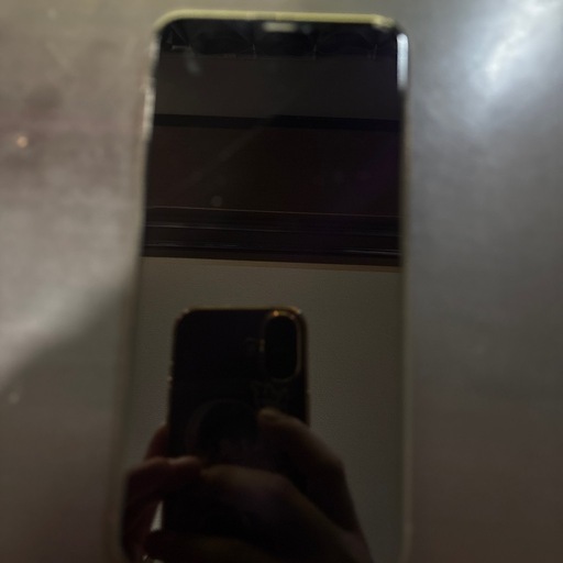 iPhone iPhone XS  MAX