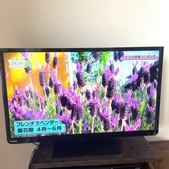 【美品】東芝REGZA 32インチ 液晶テレビの画像