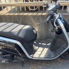 受け渡し完了致しました。多数のお問い合わせありがとうございました。の画像