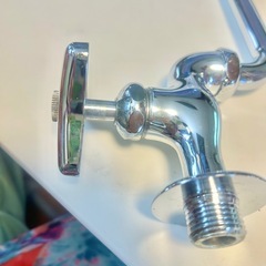 蛇口🚰の画像