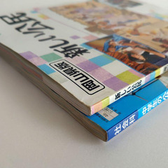 『中学生の公民』帝国書院　『新しい公民』浜島書店　2冊セット　中学生　社会科の画像
