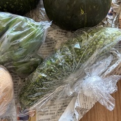 野菜5種類セットの画像