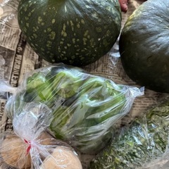 野菜5種類セットの画像