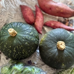 野菜5種類セットの画像