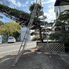 植木用ハシゴの画像
