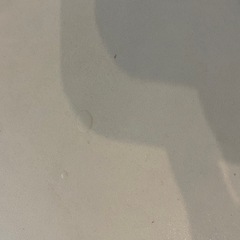 【10/19で締め切ります‼️】ローテーブル(白)の画像
