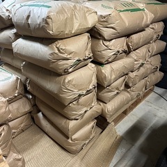 新米　にじのきらめき　玄米　NO4の画像