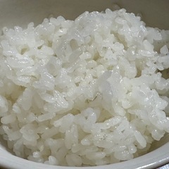 新米　にじのきらめき　玄米　NO4の画像