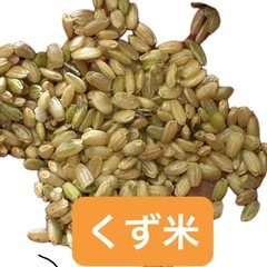 【飼料用】小米　くず米　10kg　　の画像