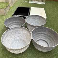 メダカ水槽の画像