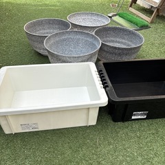 メダカ水槽の画像