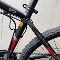 　受付中止　《無料》　電動自転車philodo の画像