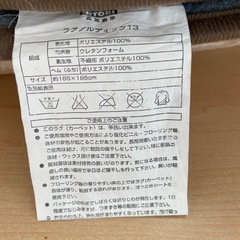 サンヨーホットカーペットとニトリラグセットの画像