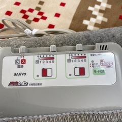 サンヨーホットカーペットとニトリラグセットの画像