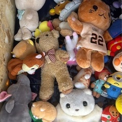 ぬいぐるみの画像