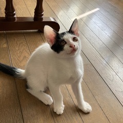 8月6日産まれ①