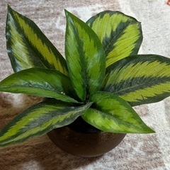 ニトリガーデニング造花の画像