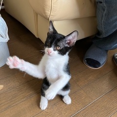 8月6日産まれ②