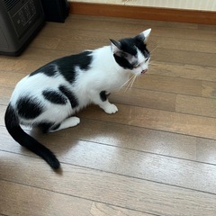 8月6日産まれ①.②のママ