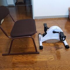 先着優先‼️お早めに❗はぴねすくらぶ電動トレーナー美品！2023年値下げしました。の画像