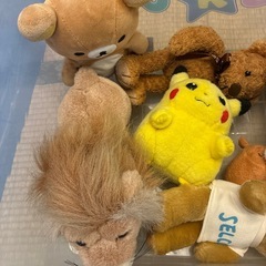【決定しました】ぬいぐるみ数個セットの画像