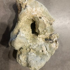 サンゴ石 アクアリウム用3種セットの画像