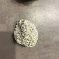 サンゴ石 アクアリウム用3種セットの画像