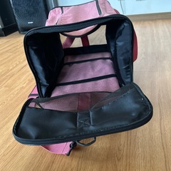 キャーリーバックの画像