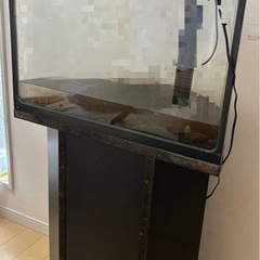 【ジャンク扱】専用台付属！半円おしゃれなインテリア水槽【コトブキアリーナ】の画像