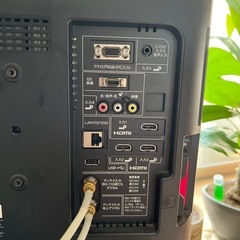 テレビの画像