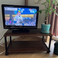 テレビの画像