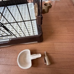 猫ゲージ無料で差し上げます(明日限定)の画像