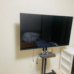 2025年製テレビの画像
