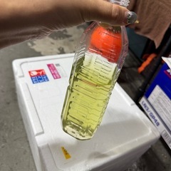 生ワムシ【土日過ぎたら破棄します】日海センター　ワムシお試しセットの画像