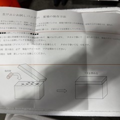 生ワムシ【土日過ぎたら破棄します】日海センター　ワムシお試しセットの画像