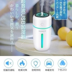 加湿器 卓上 小型 充電式 車用加湿器 350ml 大容量 超音波式 除菌 次亜の画像