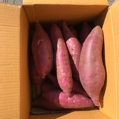 7年新物サツマイモ2kg（シルクスイート）の画像