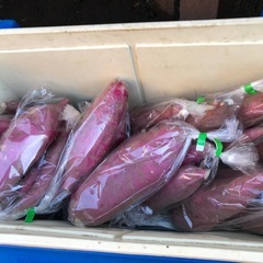 7年新物サツマイモ2kg（シルクスイート）の画像