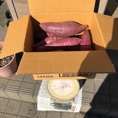 7年新物サツマイモ2kg（シルクスイート）の画像