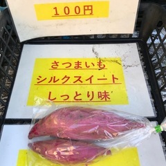 新物さつまいもシルクスイート（4kg）の画像