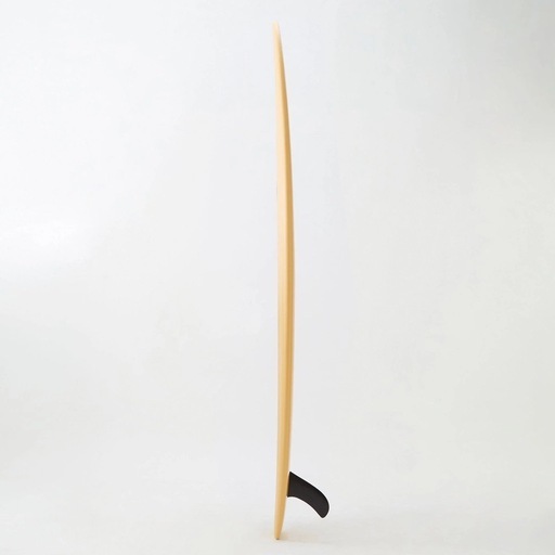 Beach Access ソフトボード 9.0ft ロングボード（美品）